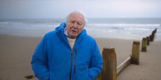 4 April, 2025, London, UK - Ahead of the 8 May Global Cinema Event for OCEAN WITH DAVID ATTENBOROUGH, tickets are now on sale in cinemas across the UK and Ireland and in 25 countries around the world. Coinciding with Attenborough?s 99th birthday, the Global Cinema Event invites audiences worldwide to come together to experience Attenborough?s untold story of the ocean on the big screen, featuring additional theatrically exclusive content. Visit OceanFilm.net to find your local cinema and showtimes. Additional cinemas and showtimes will be added in the coming weeks. OCEAN WITH DAVID ATTENBOROUGH takes viewers on a breathtaking journey showing there is nowhere more vital for our survival, more full of life, wonder, or surprise, than the?ocean. Watch the first trailer for OCEAN WITH DAVID ATTENBOROUGH HERE. In the film the celebrated broadcaster and filmmaker reveals how his lifetime has coincided with the great age of ocean discovery. Through spectacular sequences featuring coral reefs, kelp forests and the open ocean, Attenborough shares why a healthy ocean keeps the entire planet stable and flourishing. Stunning, immersive cinematography showcases the wonder of life under the seas and exposes the realities and challenges facing our ocean as never-before-seen, from destructive fishing techniques to mass coral reef bleaching. Yet the story is one of optimism, with Attenborough pointing to inspirational stories from around the world to deliver his greatest message: the ocean can recover to a glory beyond anything anyone alive has ever seen.