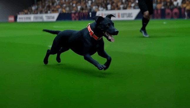 Battersea rescue dog invades football pitch in video game