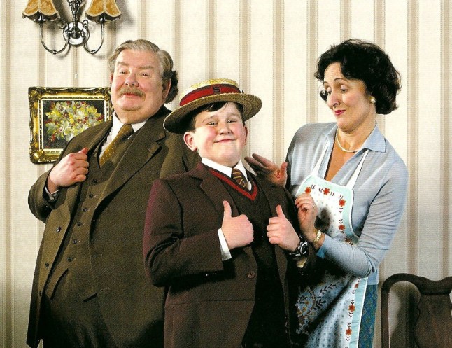 Television Programme: Harry Potter with Harry Melling as Dudley Dursley