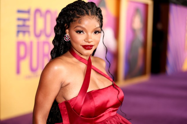 "The Color Purple" Premiere - Red Carpet