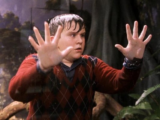 Film: Harry Potter And The Philosopher's Stone. (2001) Pic shows: Harry Melling star as Dudley Dursley.