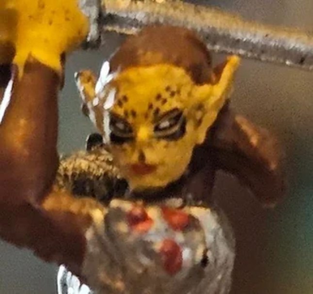 Lae'zel ugly Dungeons & Dragons: Icons Of The Realms - Baldur's Gate 3 miniature